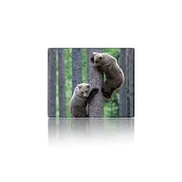 Килимок для мишки Voltronic Two Bears (YT-CAT11)