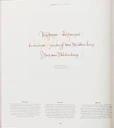 Freydal. Medieval Games. The Book of Tournaments of Emperor Maximilian I - мініатюра 11