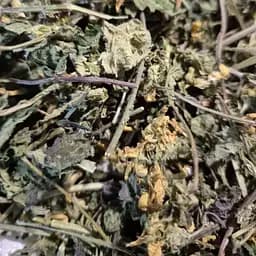 100 г зеленчук жовтий трава сушена - свіжий урожай, 100 г