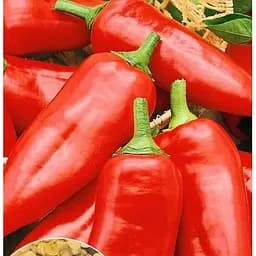 Насіння Весна на вагу Перець Солодка паприка ціна за 1 г (51652)