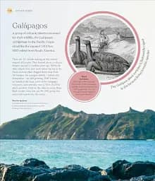 The Ocean Book: The Stories, Science, and History of Oceans - мініатюра 7