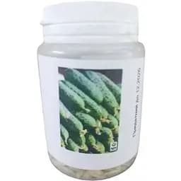 Огурец Весна Нежинский (в банке) Органик 15г (45005)