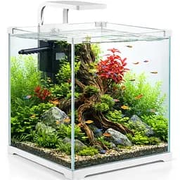Акваріум, комплект Kruger Meier Shrimp!One Pro 30 білий 15 л 24x25x26.5 см - мініатюра 2
