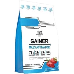 Гейнер Gainer Strawberry 2000 г