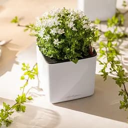 Вазон Lechuza Cube Glossy, 0.4 л, білий (13510) - мініатюра 8
