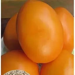 Насіння Весна на вагу Томат Сливка жовта ціна за 1 г (22186)