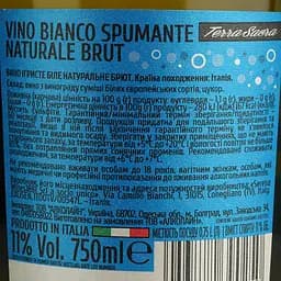 Вино ігристе Terra Sacra Spumante Brut біле сухе 0.75 л - мініатюра 4