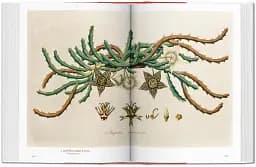 A Garden Eden. Masterpieces of Botanical Illustration. 40th Edition - мініатюра 5