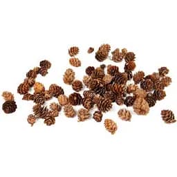 Набор декоративных шишек Lefard 100 г (801-579)