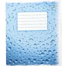 Зошит учнівський ФОНОВА Бріск 603 12 аркушів (4820058220603)(SC)