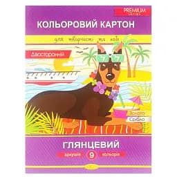 Набір двостороннього кольорового картону А4 Апельсин АП-1106-2, 9 аркушів