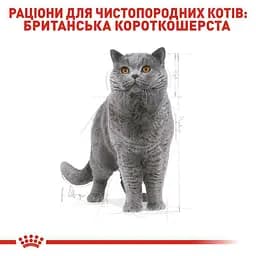 Сухий корм для британських короткошерстих дорослих котів Royal Canin British Shorthair Adult з м'ясом птиці 3.2 кг + 800 г - мініатюра 3