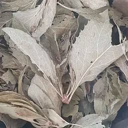 100 г барбарис обыкновенный  трава/лист сушеная - свежий урожай