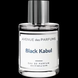 Парфюмированная вода Avenue des Parfums Black Kabul 50 мл