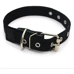 Нашийник для собак Zoo-hunt брезентовий 2,5 см 24-44 см чорний