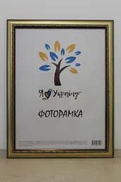 Фоторамка 50х60, золота з обрамленням, 3017-х811, СКЛО + ДВП                                                                                                                                                                                                                                                                                                                                                                       