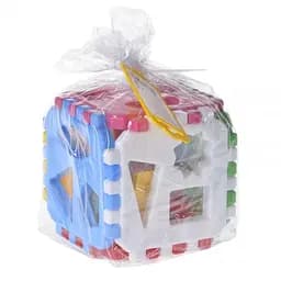 Іграшка для розвитку Кубик сортер