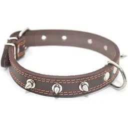 Нашийник для собак Zoo-hunt шкіряний з шипами подвійний коричневий ОДШ 3,5/44-55 см