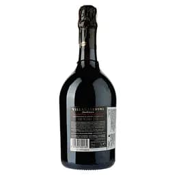 Вино ігристе Cleto Chiarli Lambrusco Grasparossa Villa Cialdini, червоне, сухе, 0,75 л (45510) - мініатюра 2