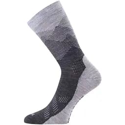 Термоноски Lasting FWR M Серый (1054-002.003.4221)