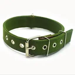 Ошейник для собак Zoo-hunt брезентовый ОБ 2,5/34-44 см двойной