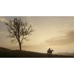 Ключ активації Microsoft Комплект Red Dead Redemption і Red Dead Redemption 2 для Xbox One/Series S/X - мініатюра 9