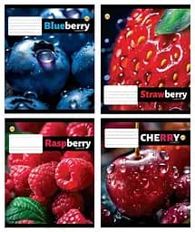 Зошити учнівські 12 аркушів коса лінія 25 штук в упаковці ТЕ43101
