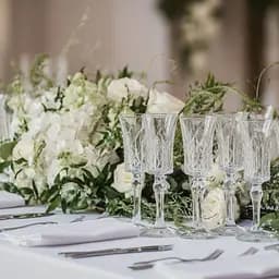 Набір келихів TS Kitchen для шампанського на високій ніжці під кришталь 6 штук по 145 мл прозорий HP51A