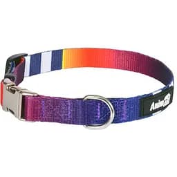 Нашийник для собак AnimAll, L, 40-65x2,5 см