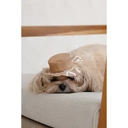 Панама Pet Fashion Print для собак S - мініатюра 5