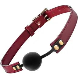 Кляп Dreamtoys Blaze Elite Ball Gag 41 см красный