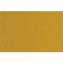 Папір для пастелі Fabriano Tiziano B2 (50х70см) №06 mandorla 160г/м2 кавовий середнє зерно