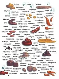 Що в кінці: куди зникають какунці? Фузя і Ратько рятують каналізацію - мініатюра 5