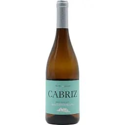 Вино Сabriz Sauvignon Blanc біле сухе 0.75 л