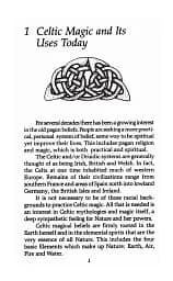 Celtic Magick - Д. Дж. Конвей - мініатюра 8
