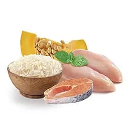 Сухий корм для собак Home Food Adult Medium Здорова шкіра та блиск шерсті для середніх порід з індичкою та лососем 1.6 кг - мініатюра 2