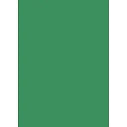 Папір для дизайну Folia Tintedpaper А4 (21x29.7см) №53 трав'яний 130г/м2 без текстури