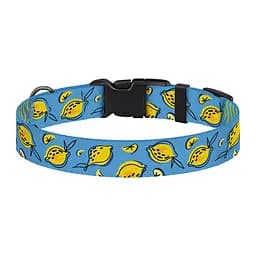 Нашийник для собак BronzeDog Urban Fruits XL - мініатюра 3