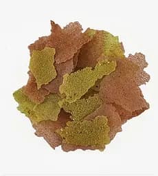 Корм для акваріумних риб Tropical Ovo-vit 100 г пластівці