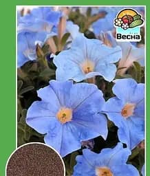 Насіння Весна Петунія Небесно блакитна 0.3 г (13764)