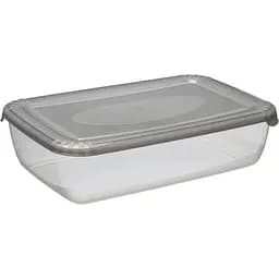 Контейнер Plast Team Polar прямокутний 293х195х75 мм 3 л в асортименті (1673) - мініатюра 3
