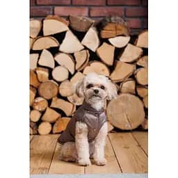 Жилет Pet Fashion Hardy для собак розмір S2 - мініатюра 10