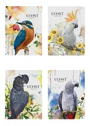 Комплект 4 шт загальних зошитів. Зошит Школярик А5 80 арк. у клітинку 5084 4823088230062