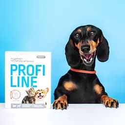 Нашийник протипаразитарний ProVET Profiline для котів та собак дрібних порід 35 см кораловий - мініатюра 5