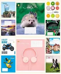 Зошити учнівські 24 аркуша лінія Тверда ТЕ22308 24ЛВ2 МІКС, 20 шт. в упаковці