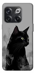 Чехол itsPrint Smoke cat для OnePlus 10T
