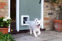 Дверцята для кішок та дрібних собак Sure Petcare SureFlap з мікрочіпом та таймером комендантської години, сумісна з RFID-мітками - мініатюра 3