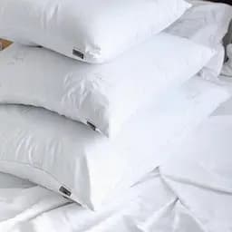 Подушка Viluta Softness лебединий пух 50х70 - мініатюра 2