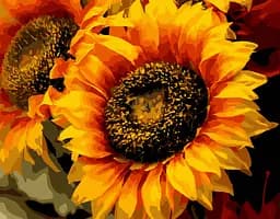 Картина за номерами. Art Craft Шпигун сонця 40x50 см 13106-AC