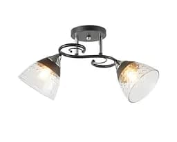 Люстра потолочная на 2 плафона 6331-2 Черный+Хром